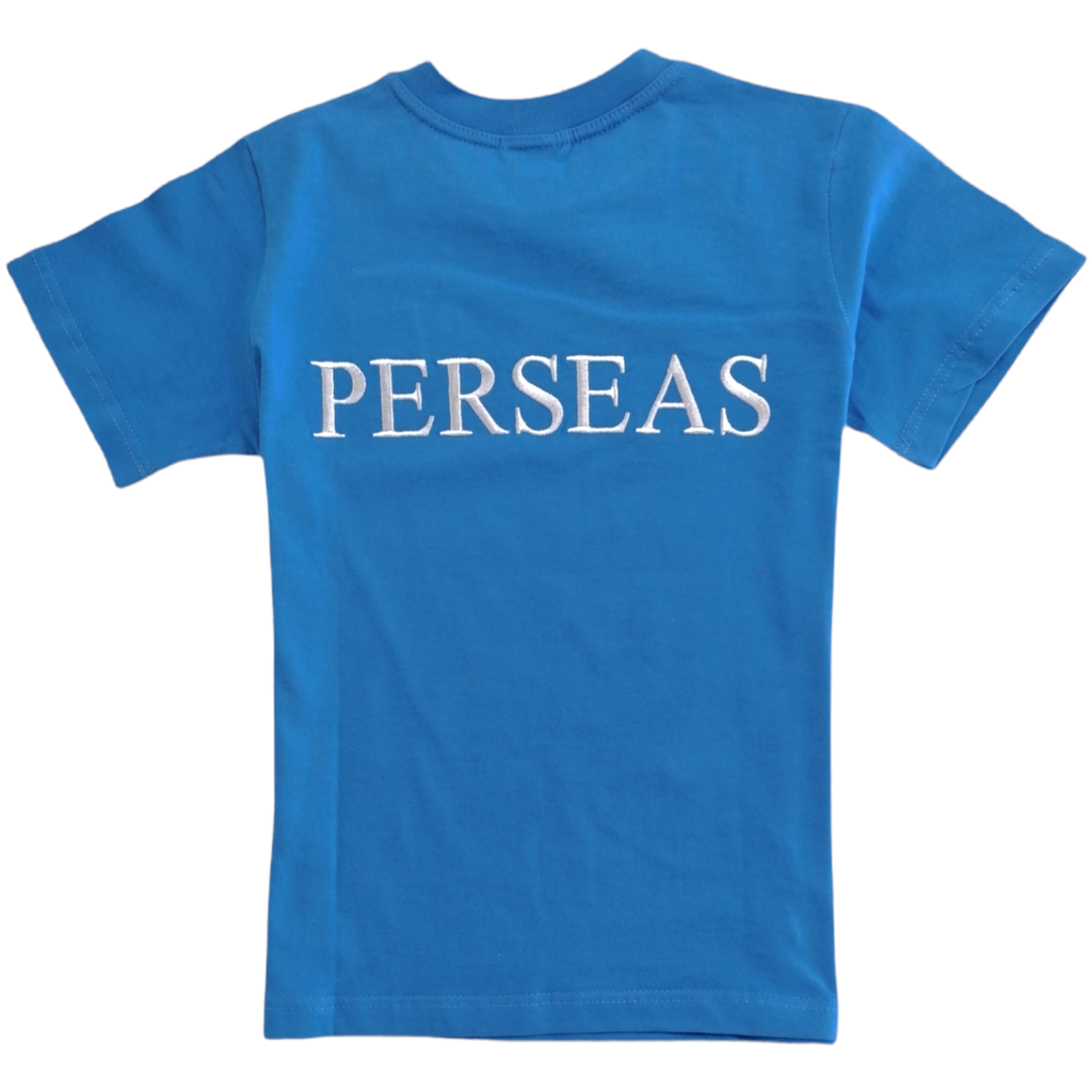 Blue t-shirt (Perseas's team)