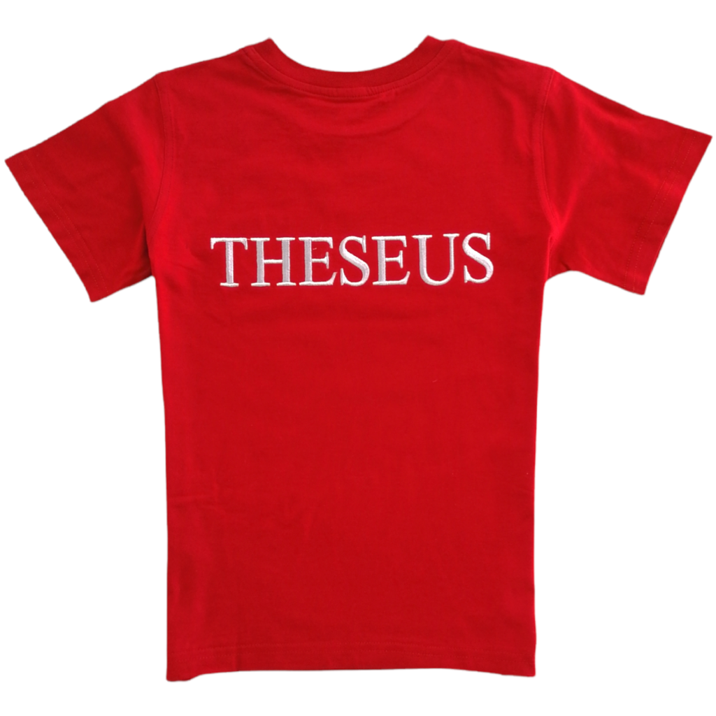 Red t-shirt (Theseus's team)