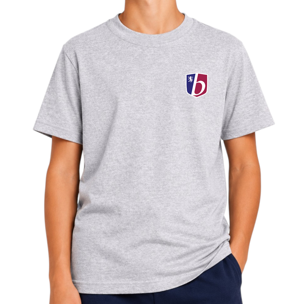 Grey T-shirt
