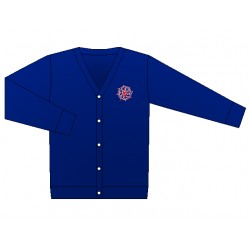 Blue Cardigan