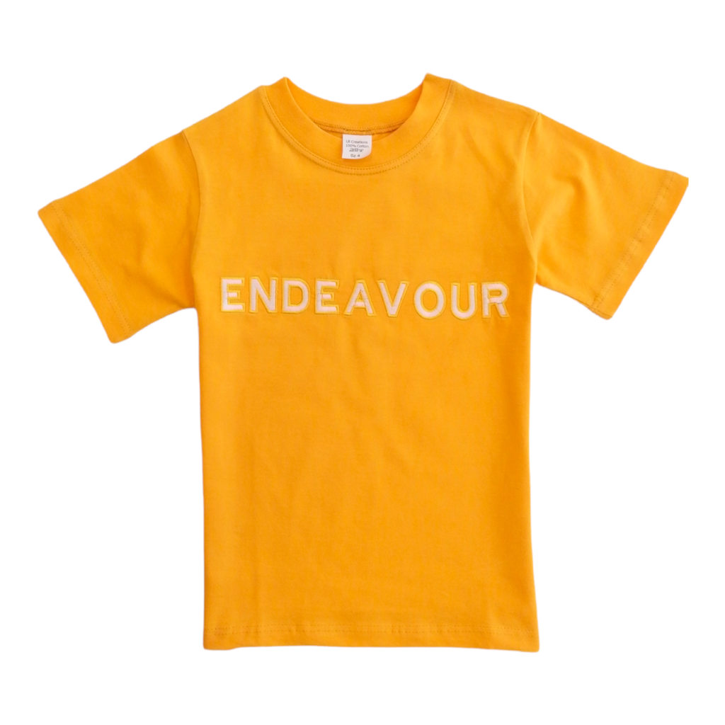 T-shirt endeavour