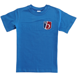Blue t-shirt (Perseas's team)