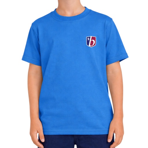 Blue t-shirt (Perseas's team)
