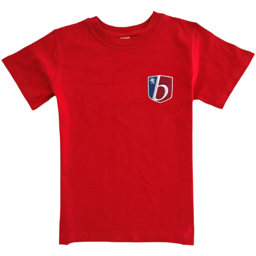 Red T-shirt (Theseus's team)