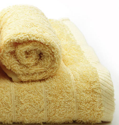 Endeveaur Towel