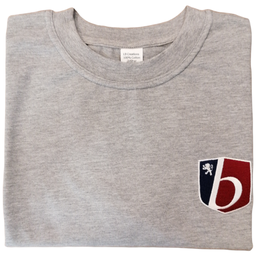 Grey T-shirt