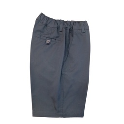 Blue vermuda short