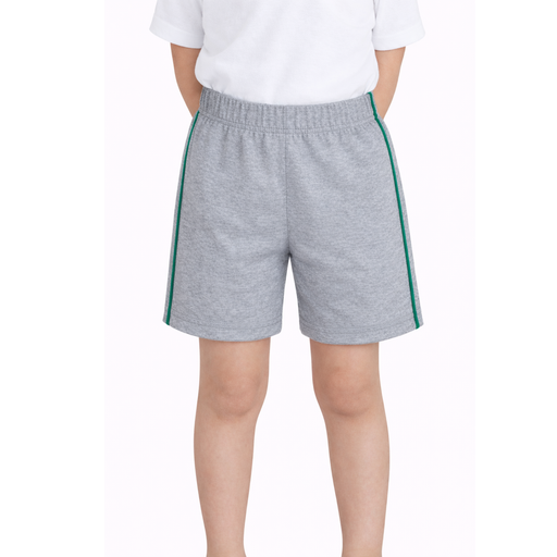 Grey Shorts with Green Details